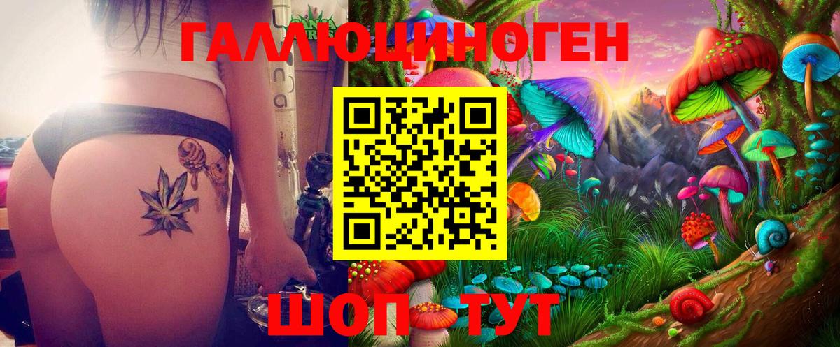 где купить   Вход с VPN  Алушта  Галлюциногенные грибы Psilocybine cubensis 